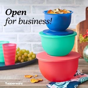 Gently used LIKE NEW Tupperware impression bowl set